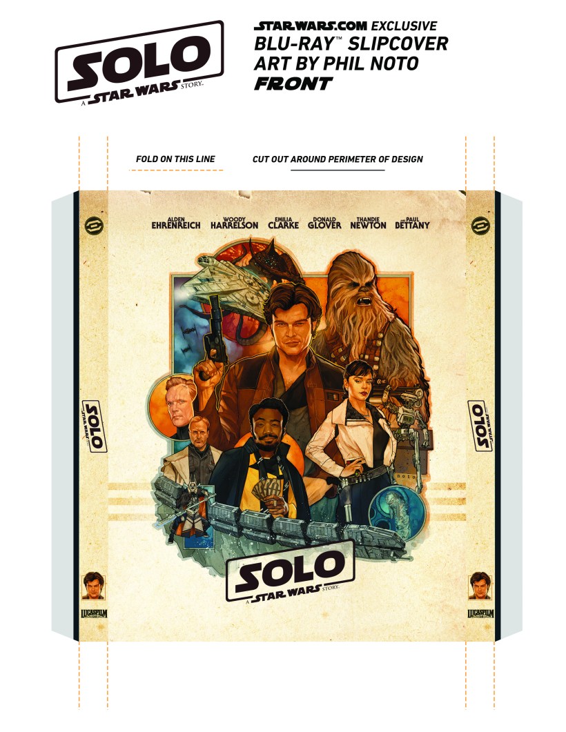 Solo_SlipCover